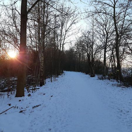 Vakantiehuis Aan Het Bos - Gelegen Aan De Tulpenroute Bant Eksteriør bilde
