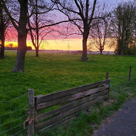 Vakantiehuis Aan Het Bos - Gelegen Aan De Tulpenroute Bant Eksteriør bilde
