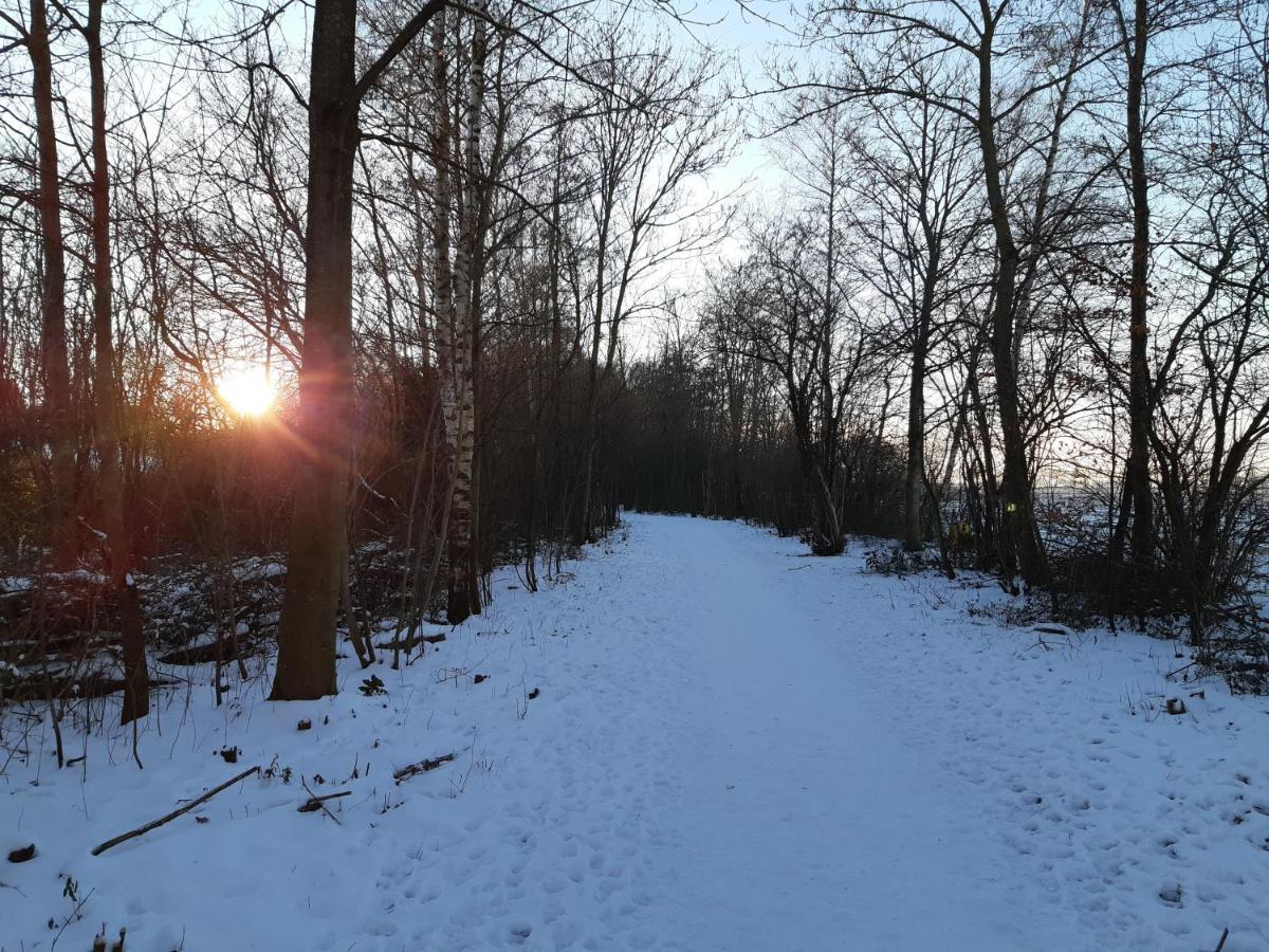 Vakantiehuis Aan Het Bos - Gelegen Aan De Tulpenroute Bant Eksteriør bilde