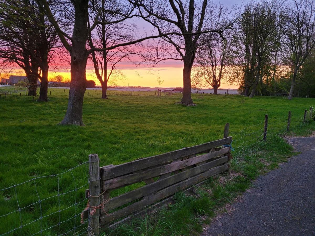 Vakantiehuis Aan Het Bos - Gelegen Aan De Tulpenroute Bant Eksteriør bilde